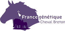 France Génétique Cheval Breton